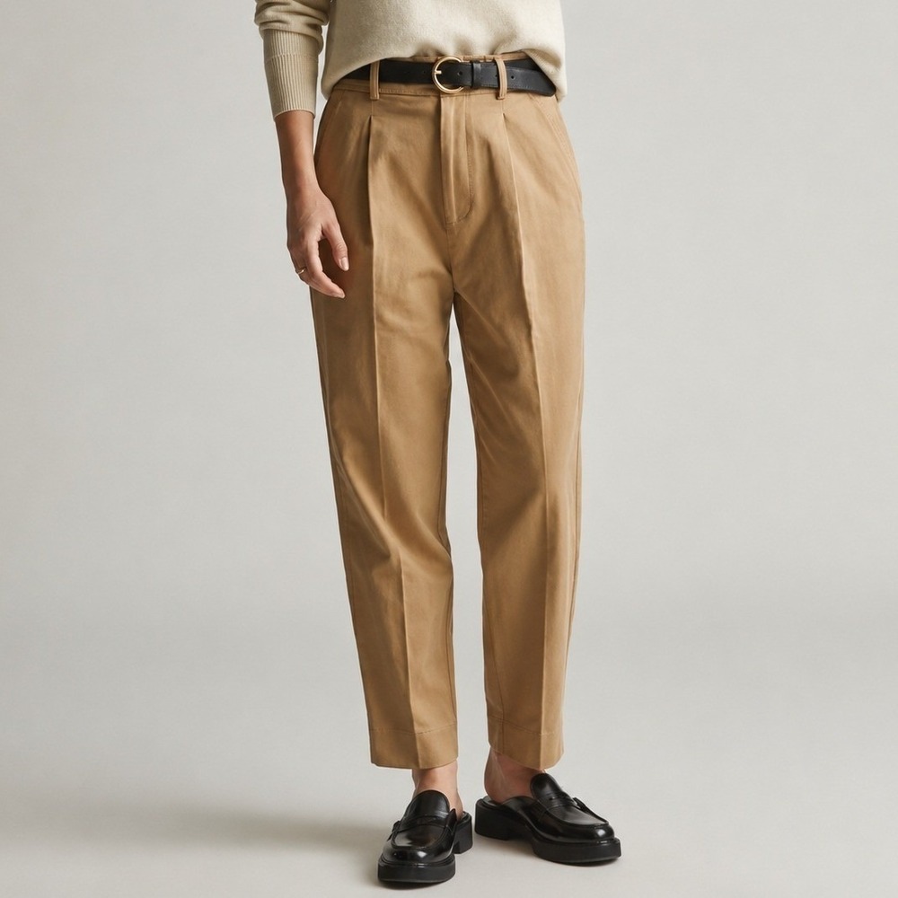 NEW Everlane The Tencel Way High Taper Pant Ash Brown Trouser Ankle Size 4